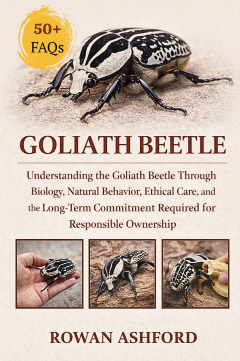 Knjiga GOLIATH BEETLE Rowan Ashford
