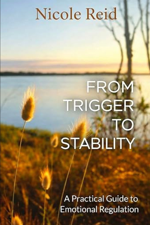Kniha FROM TRIGGER TO STABILITY Nicole Reid