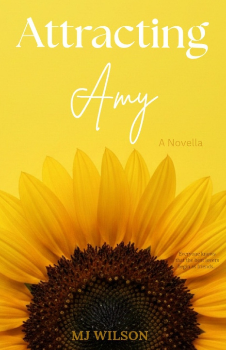 Buch Attracting Amy MJ Wilson