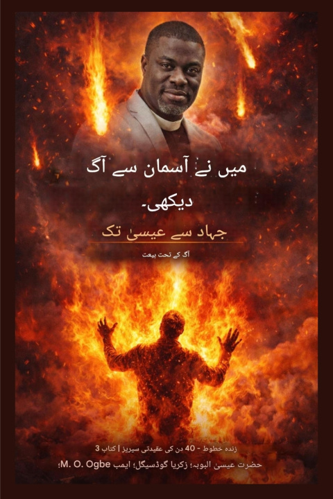 Libro میں نے آسمان سے آگ دیکھی۔ Isa El-Buba