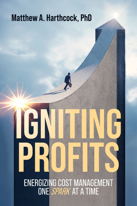Kniha Igniting Profits Matthew A. Harthcock PhD