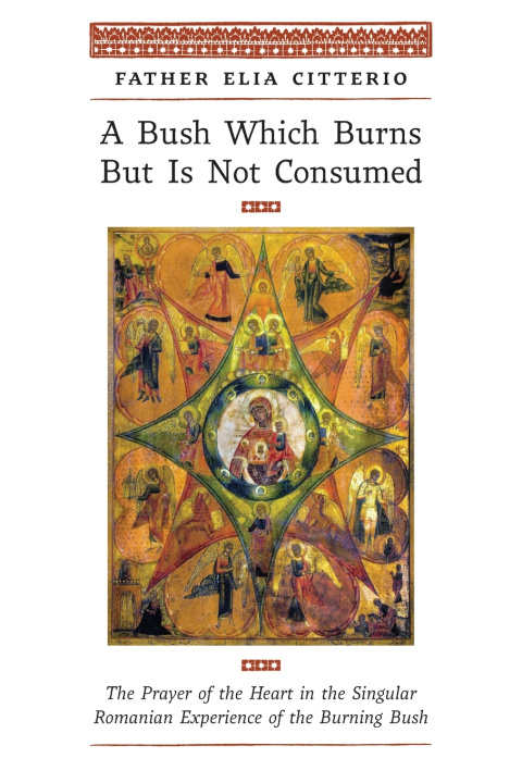 Kniha A Bush Which Burns But Is Not Consumed Father Elia Citterio