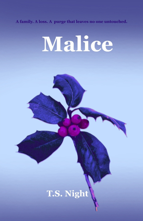 Könyv Malice T.S. Night