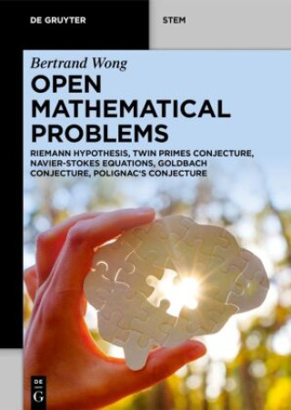 Könyv Open Mathematical Problems Bertrand Wong