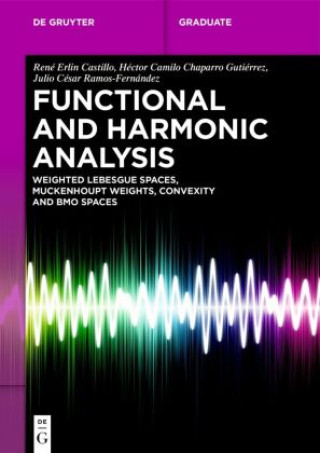 Kniha Functional and Harmonic Analysis René Erlin Castillo