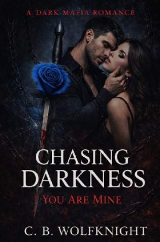 Kniha Chasing Darkness - You Are Mine Claire Blake Wolfknight