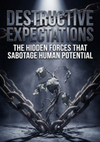 Kniha Destructive Expectations Robert Vance
