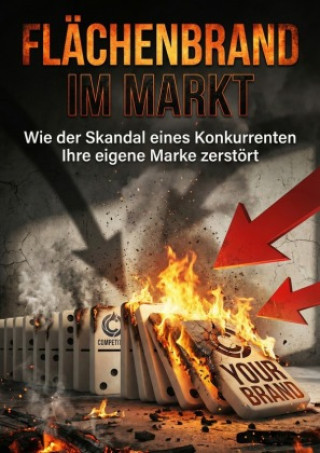 Kniha Flächenbrand im Markt Sandra Meisner