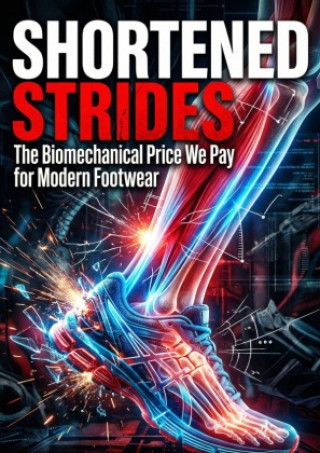 Könyv Shortened Strides Arthur Hayes