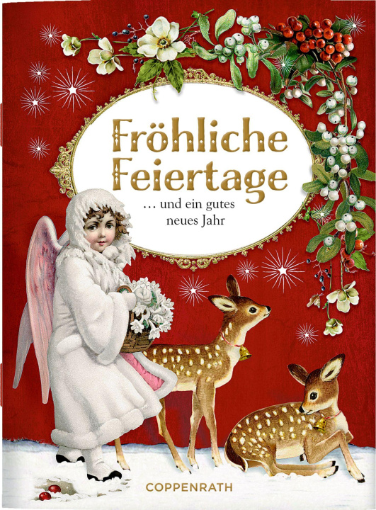 Book Fröhliche Feiertage Barbara Behr