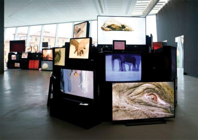 Kniha Douglas Gordon Silvana Editoriale