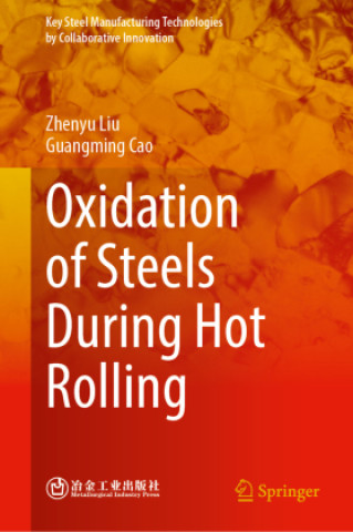 Livre Oxidation of Steels During Hot Rolling Zhenyu Liu