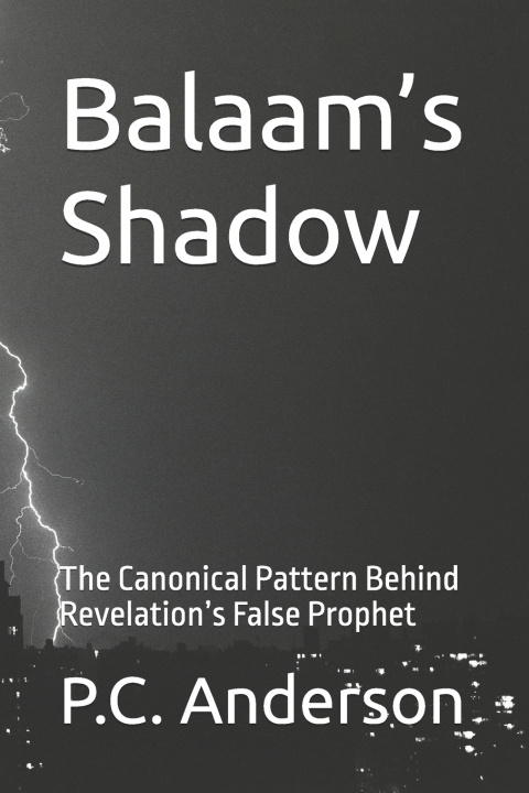 Kniha Balaam's Shadow P.C. Anderson