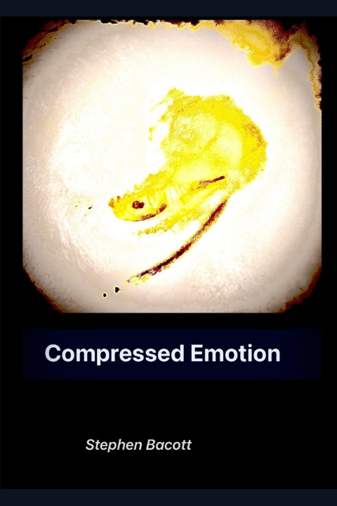 Kniha Compressed Emotion Stephen Bacott