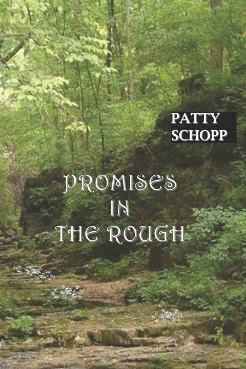 Kniha Promises in the Rough Patty Schopp