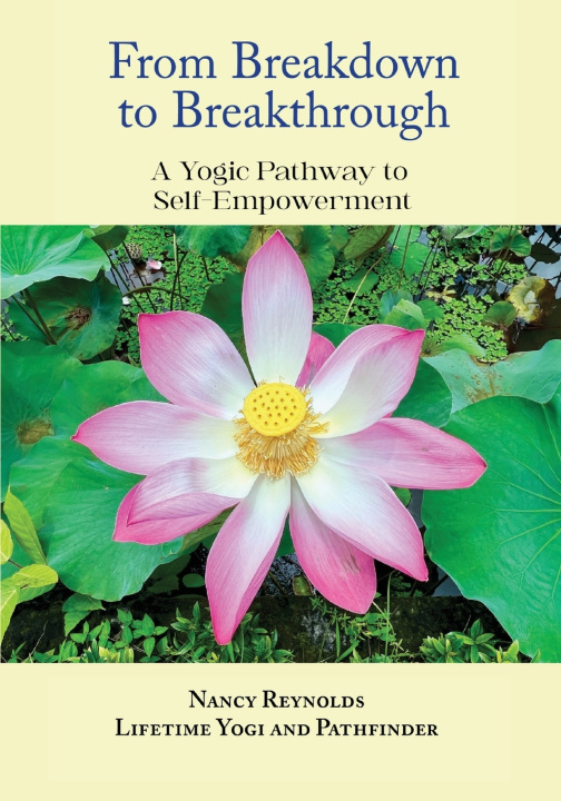 Kniha From Breakdown to Breakthrough Nancy Reynolds