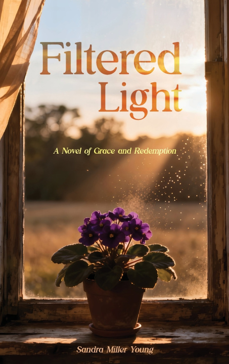 Kniha Filtered Light Sandra Miller Young