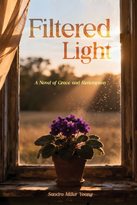 Kniha Filtered Light Sandra Miller Young