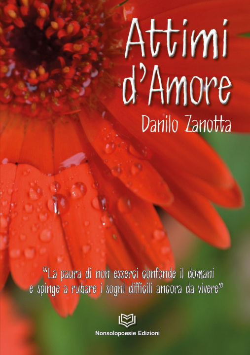 Kniha Attimi d'amore Danilo Zanotta