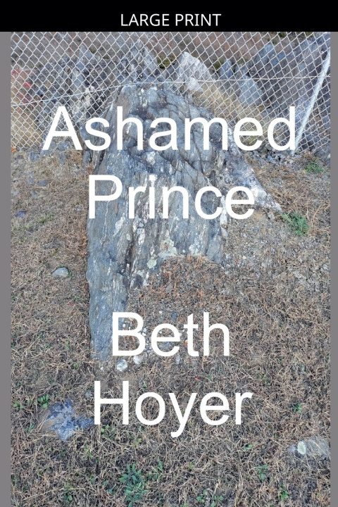 Kniha Ashamed Prince Beth Hoyer