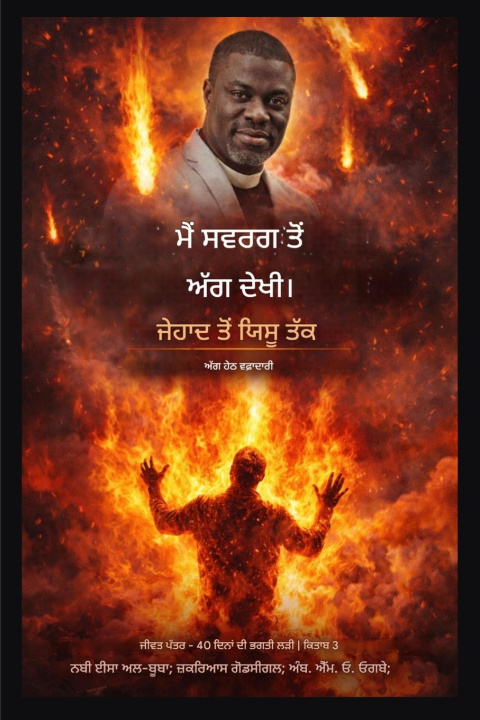 Livro ਮੈਂ ਸਵਰਗ ਤੋਂ ਅੱਗ ਦੇਖੀ Isa El-Buba