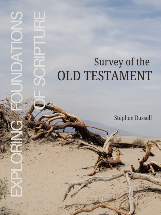 Kniha Exploring Foundations of Scripture Stephen Russell