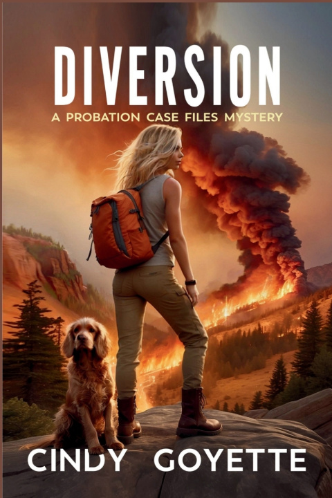 Kniha Diversion Cindy Goyette