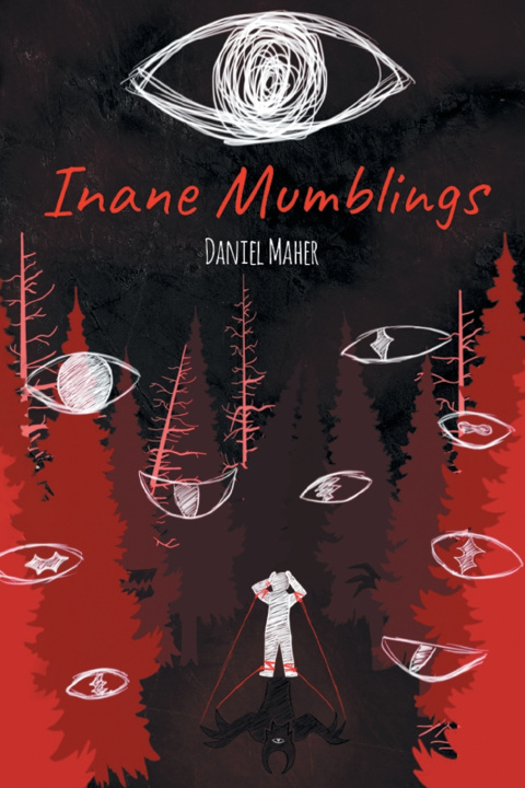 Kniha Inane Mumblings Daniel Maher