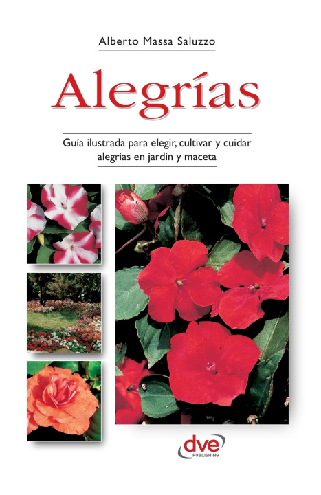 Kniha Alegrías Alberto Massa Saluzzo