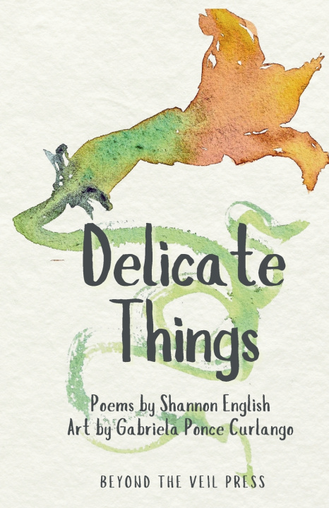 Kniha Delicate Things Shannon English
