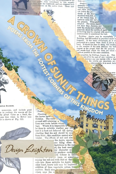 Kniha A Crown of Sunlit Things Devyn Leighton