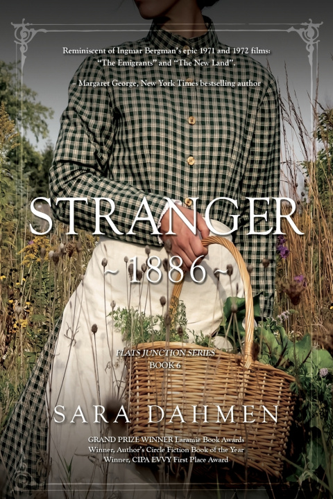 Kniha Stranger 1886 Sara Dahmen