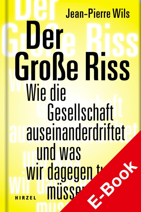 E-kniha Der Groe Riss Jean-Pierre Wils