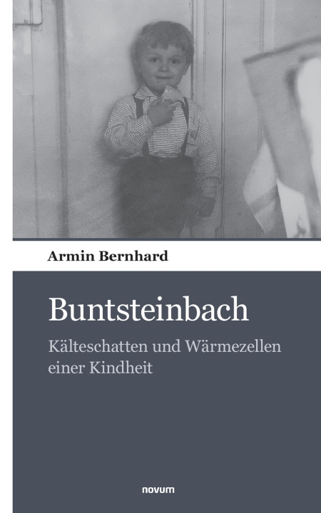 Kniha Buntsteinbach Armin Bernhard