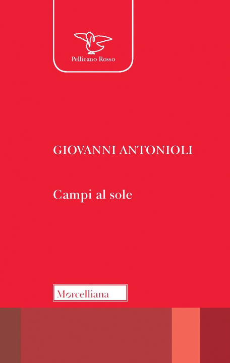 Knjiga Campi al sole Giovanni Antonioli
