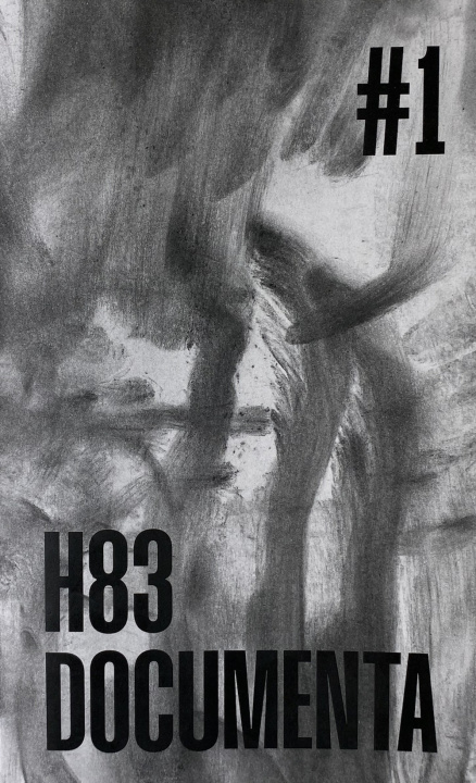 Könyv H83 Documenta Federico Gori