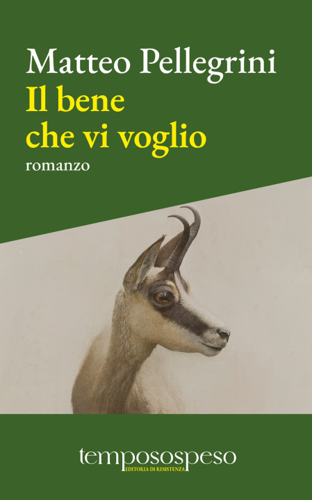 Kniha bene che vi voglio Matteo Pellegrini