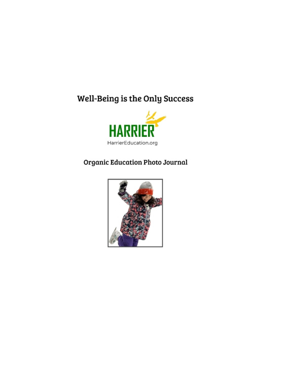 Книга Well-Being is the Only Success Charles Stampul