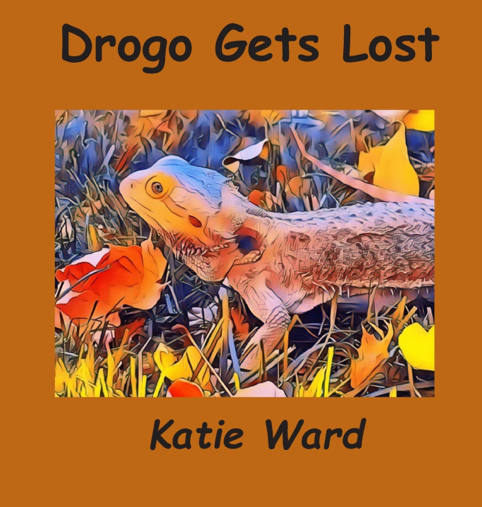 Kniha Drogo Gets Lost Katie Ward