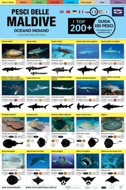 Buch Maldive Guida Dei Pesci Rudie H Kuiter
