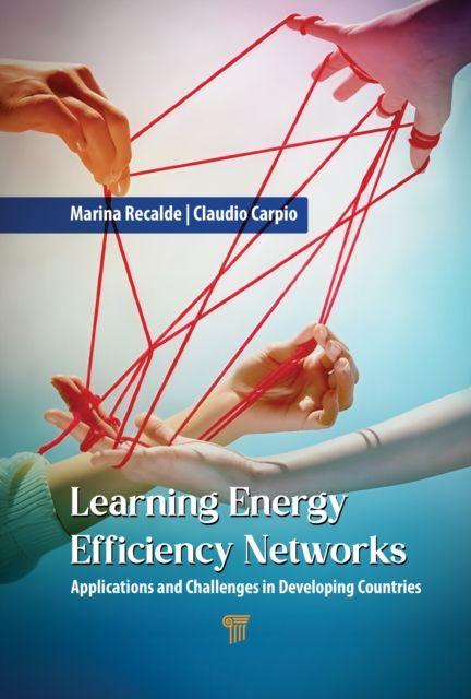 Kniha Learning Energy Efficiency Networks Marina Yesica Recalde