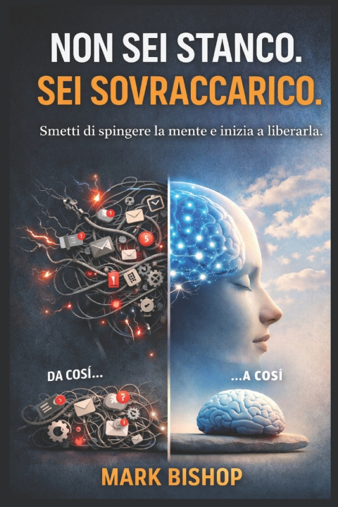 Kniha Non sei stanco. Sei sovraccarico. Mark Bishop
