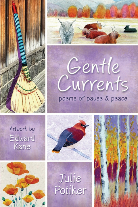 Boek Gentle Currents Julie Potiker