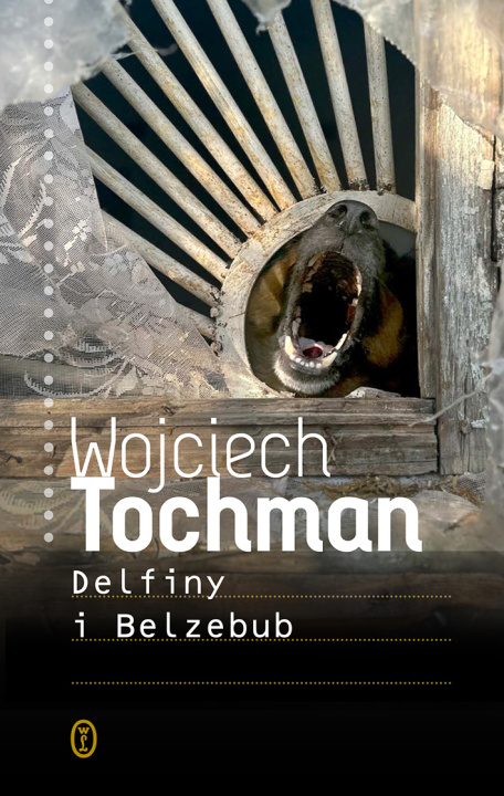 Boek Delfiny i Belzebub Wojciech Tochman