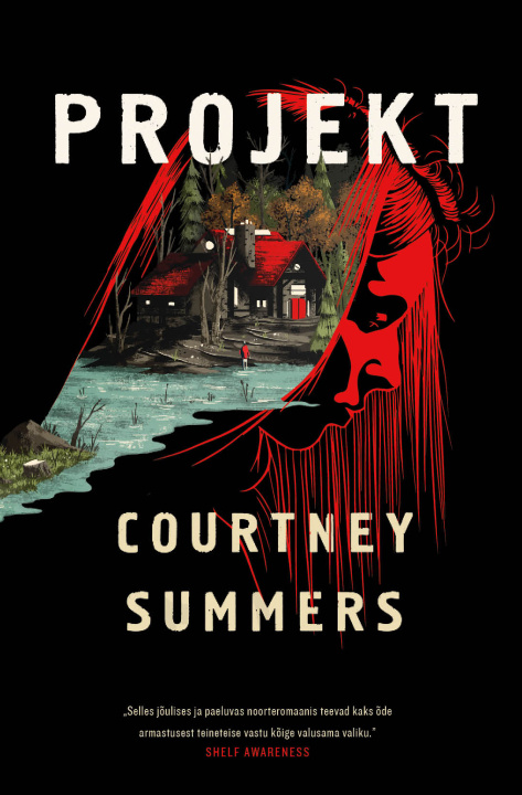 Book Projekt Courtney summers