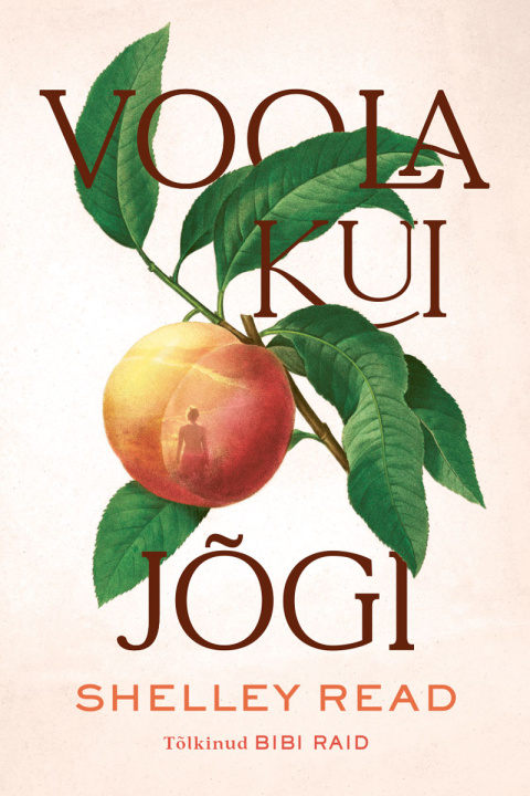 Könyv Voola kui jõgi Shelley read