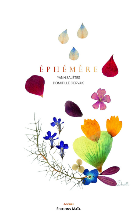 Kniha Éphémère Yann Salètes et Domitille Gervais