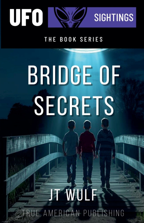 Kniha Bridge Of Secrets JT WULF
