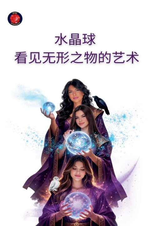 Kniha 水晶球 看见无形的艺术 Alina Rubi