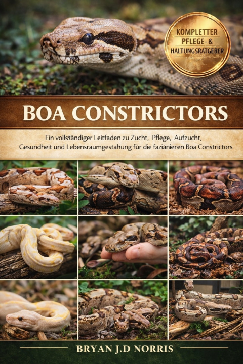 Kniha BOA CONSTRICTORS BRYAN J.D NORRIS
